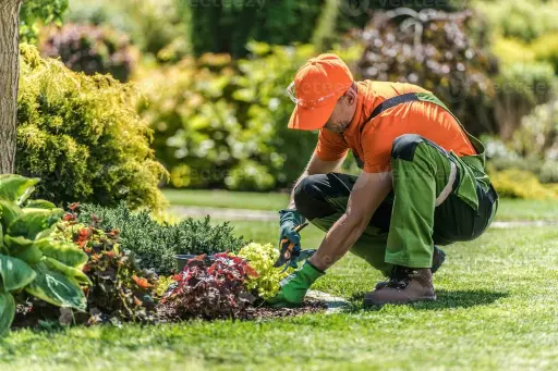Servicio de Jardinería